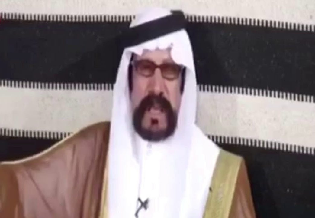 سلطان النحاوي ويكيبيديا