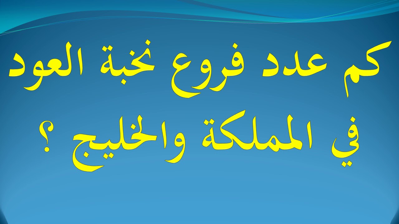 كم عدد فروع نخبة العود في المملكه ودول الخليج