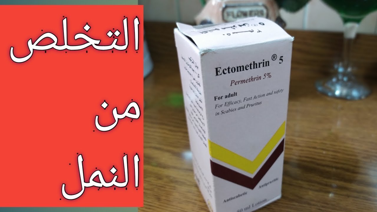 أفضل علاج للتخلص من النمل من الصيدلية